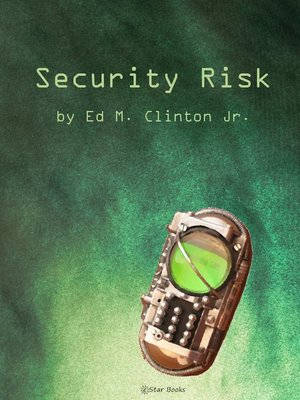 cover image of Security Risk